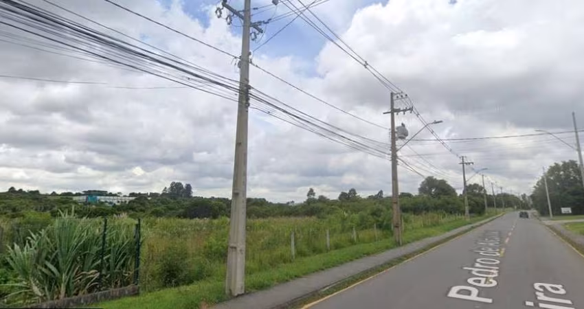 Terreno para venda em Fazenda Velha de 30501.00m²