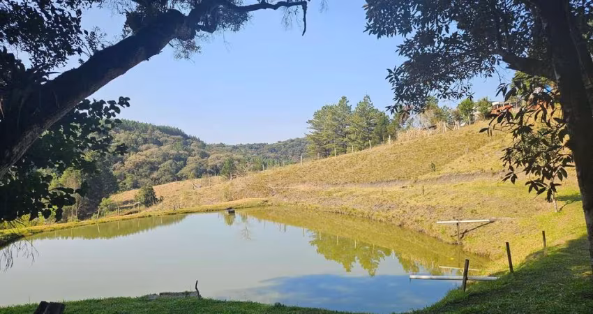 Chácara para venda em Área Rural De São José Dos Pinhais de 200.00m² com 4 Quartos e 8 Garagens