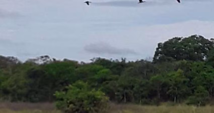 Fazenda em Santa Fé - MG com 535,67 hectares ou 110,67 alqueires;
