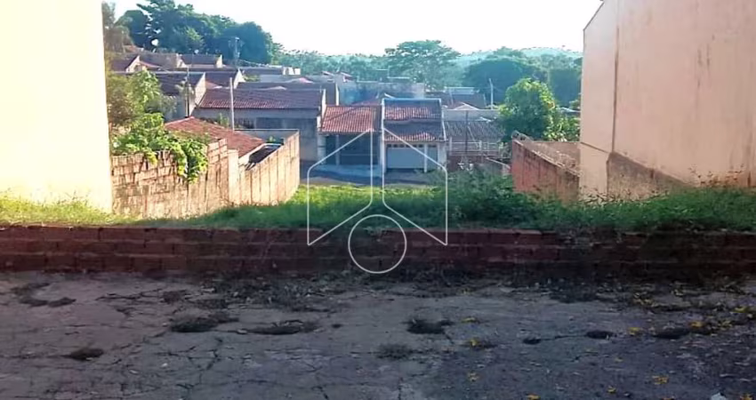 Excelente Terreno