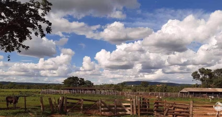 FAZENDA EXCELENTE EM PLANALTO DA SERRA/MT