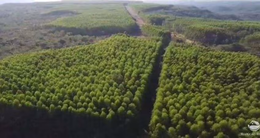 FAZENDA IMPERDÍVEL -  14.456 HECTARES COM NASCENTES E CÓRREGOS