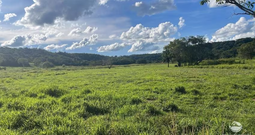 FAZENDA EXTRA NO MUNICÍPIO DE GURINHATÃ/MG