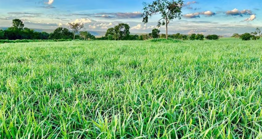 FAZENDA IMPERDÍVEL EM CAMPINA VERDE/MG