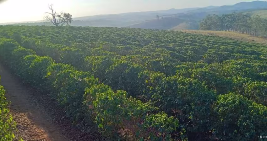 BELA FAZENDA DE CAFÉ MECANIZADA EM MONTE BELO/MG