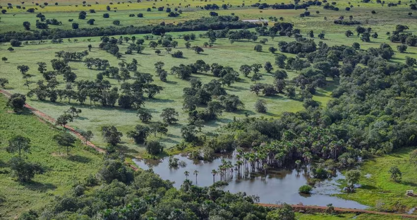 FAZENDA EXCELENTE COM ÓTIMA INFRAESTRUTURA EM RIBAS DO RIO PARDO/MS