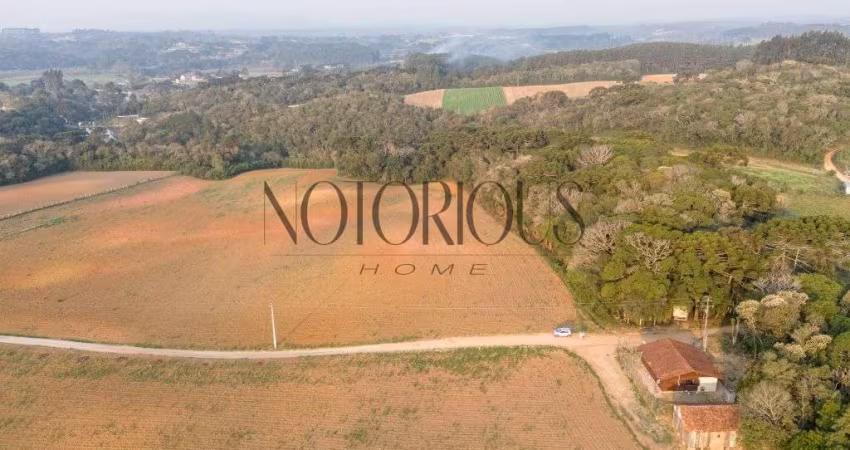 Terreno para Venda em São José dos Pinhais / PR no bairro Colônia Mergulhão