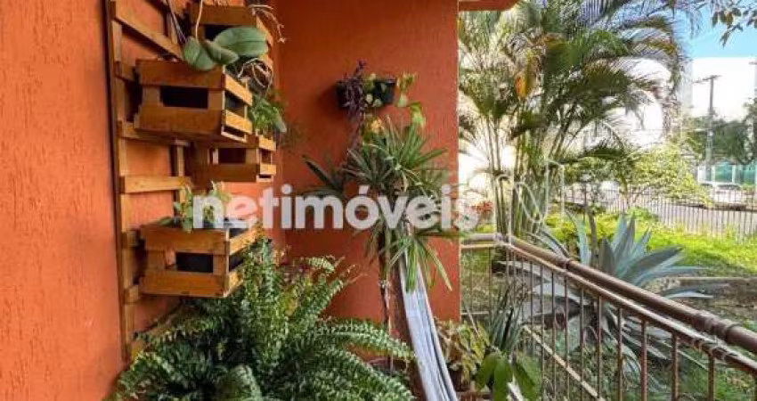 Venda Apartamento 3 quartos Cidade Nova Belo Horizonte