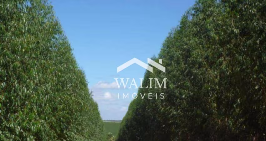 FAZENDA PREMIUM EM JOÃO PINHEIRO/MG – OPORTUNIDADE PARA AGROINDÚSTRIA E INVESTIMENTO ESCALÁVEL