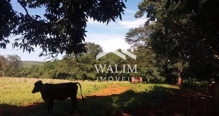 FAZENDA À VENDA COM 153,40 HECTARES, OPORTUNIDADE IMPERDÍVEL — PROPRIEDADE RURAL ENTRE CURVELO E FELIXLÂNDIA/MG