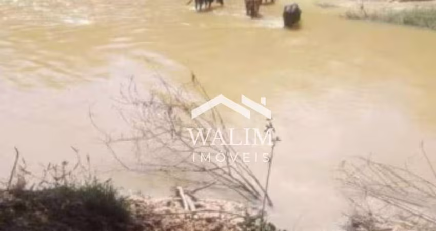 Fazenda com 316 Hectares em Cachoeira da Prata-MG | Beira do Asfalto e Corta pelo Rio Macacos!