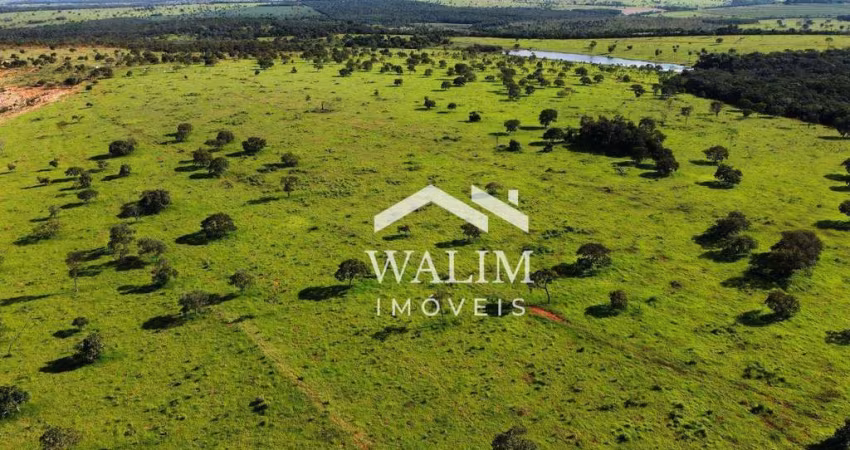 FAZENDA À VENDA | 527 Hectares |PAINEIRAS/MG