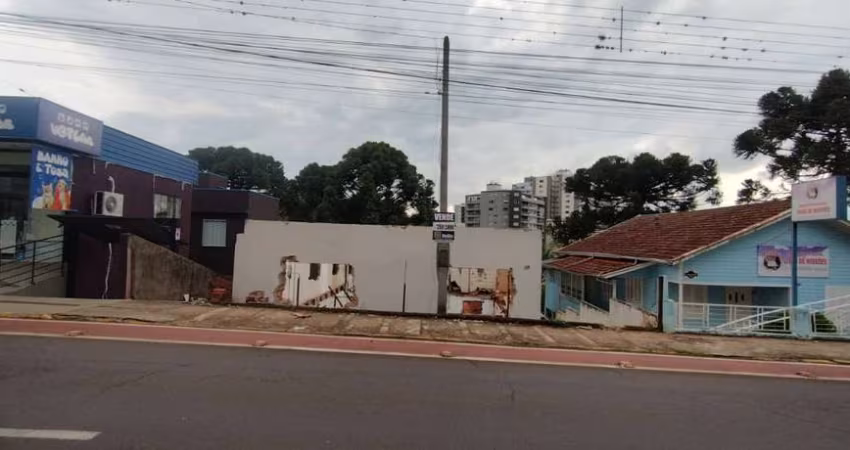 Terreno à venda na Padre Freijo, 80, Paraíso, Caçador