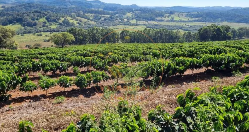 EXCELENTE! FAZENDA COM PLANTAÇÃO DE CAFÉ NA REGIÃO DE SÃO JOÃO DA MATA - MG  FA00221