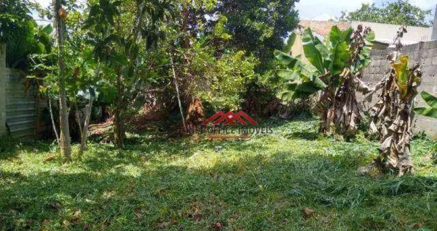 Terreno à venda, 500 m² por R$ 340.000,00 - Vila Rica - São José dos Campos/SP