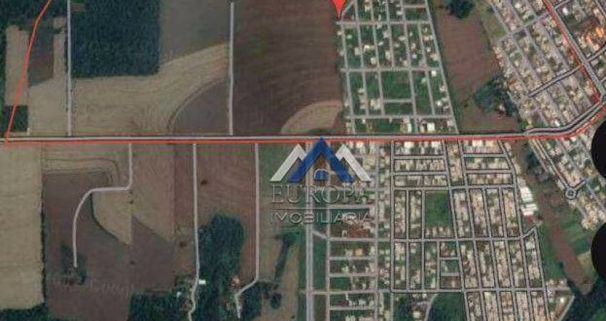 Terreno à venda, 290400 m² por R$ 15.600.000,00 - Conjunto Palmares - Arapongas/PR