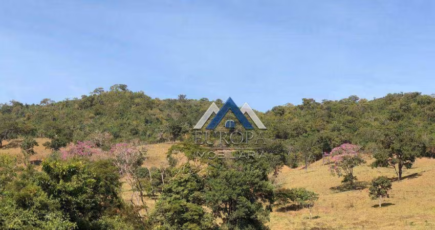 Fazenda com 4 dormitórios à venda, 2178000 m² por R$ 15.000.000,00 - Zona Rural - Santa Cruz de Goiás/GO
