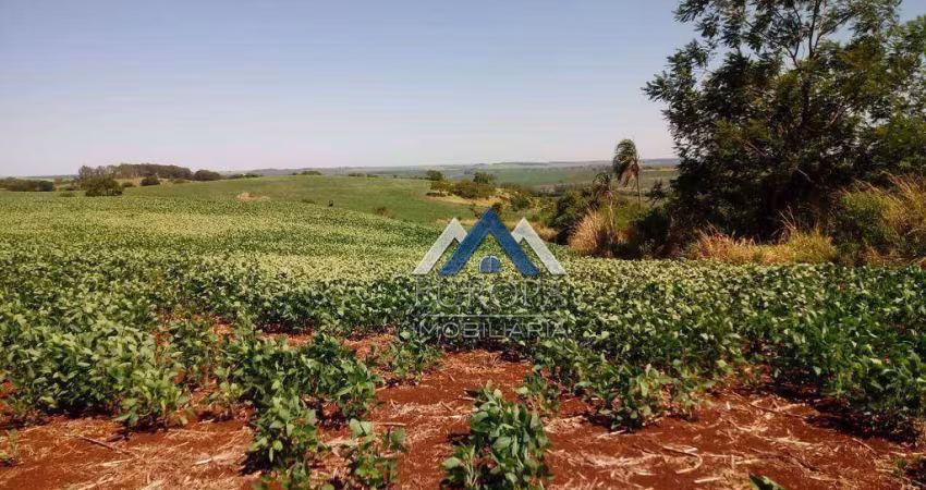 Fazenda à venda, 1936000 m² por R$ 15.000.000,00 - Distrito Primavera  - Leópolis/PR