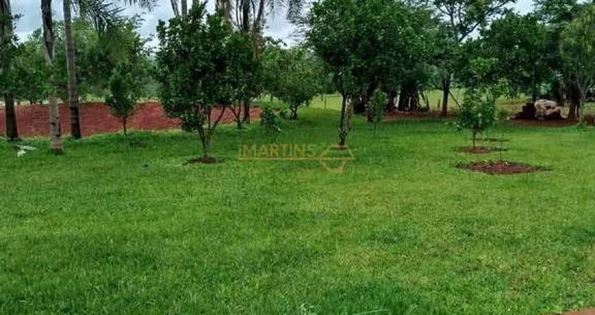 Terreno Lote - Oportunidade Imperdível no centro de Catalão - Goiás