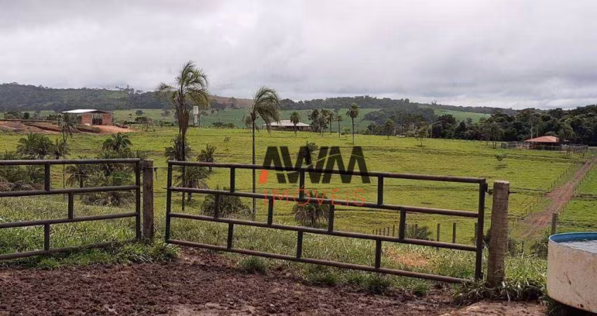 Fazenda à venda, 726000 m² por R$ 7.500.000,00 - Setor Leste - Anicuns/GO