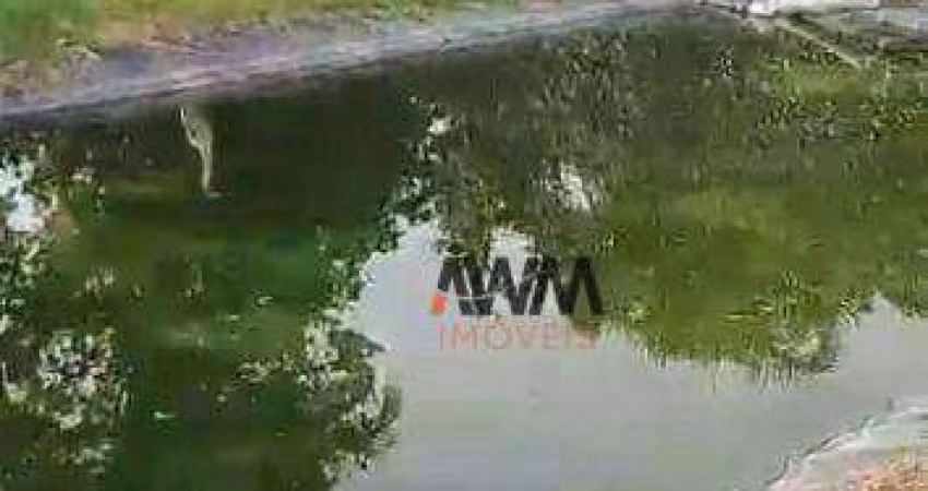 Chácara com casa 4 Suites em Condominio fechado à venda, 2100 m² por R$ 950.000 - Rural - Nova Veneza/GO