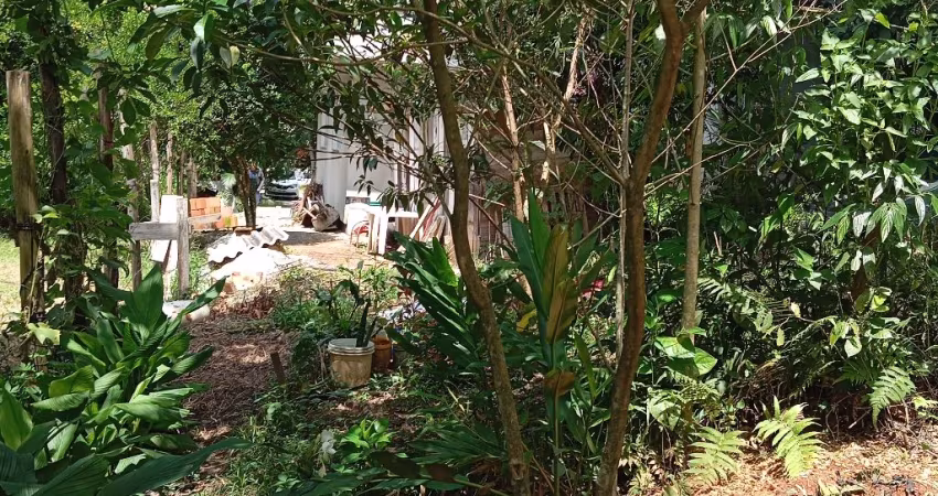 Chácara com casa nova.