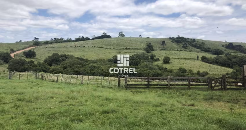 Fazenda com 784 hectares em Santana da Boa Vista/RS com estrutura.