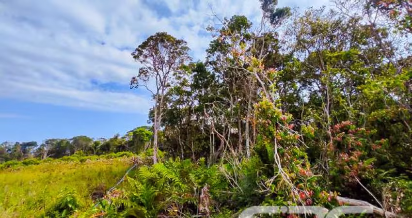 Terreno | São Francisco do Sul | Ervino