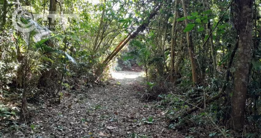 Sítio em Zona Rural  -  Pariquera-Açu