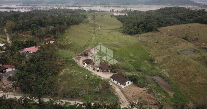 Chácara a Venda no Bairro Vila Nova com 104.000m², ideal para eventos, criação de gado e espaço para plantação de arroz!