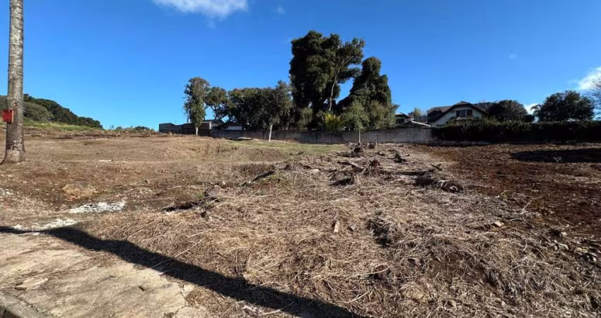 Terreno para Venda em Guarapuava, Boqueirão