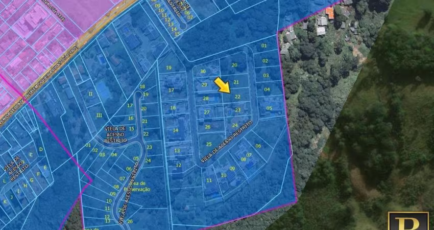 Terreno para Venda em Guarapuava, Santa Cruz