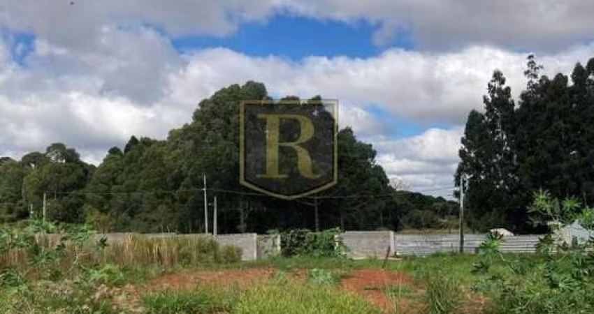Terreno para Venda em Guarapuava, Morro Alto