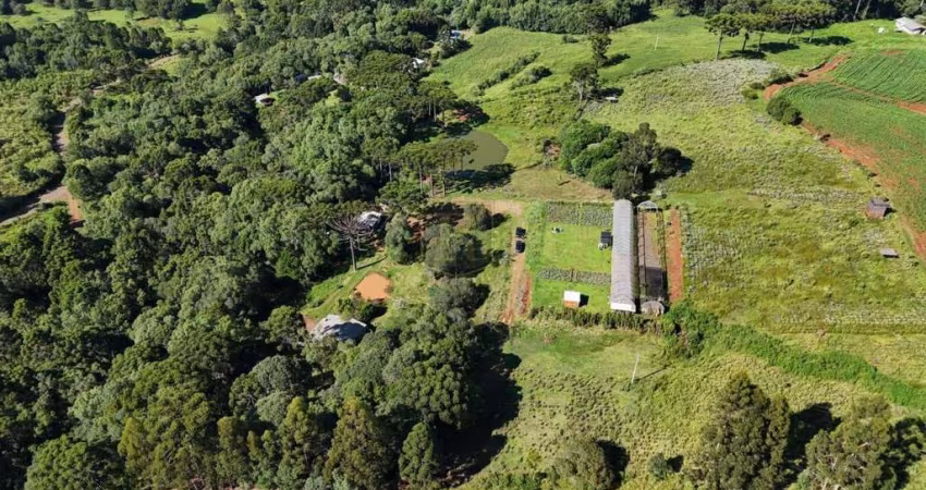 Chácara para Venda em Guarapuava, Guabiroba
