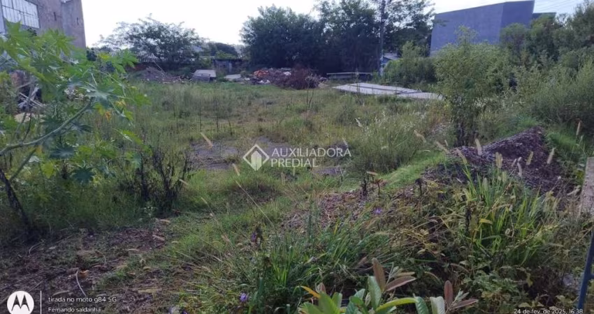 Terreno comercial à venda na Rua Otávio Schemes, 1102, Barnabé, Gravataí