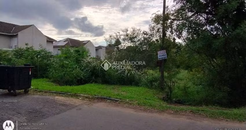 Terreno comercial à venda na Rua Aparício Soares da Cunha, 468, Vila Bom Princípio, Cachoeirinha