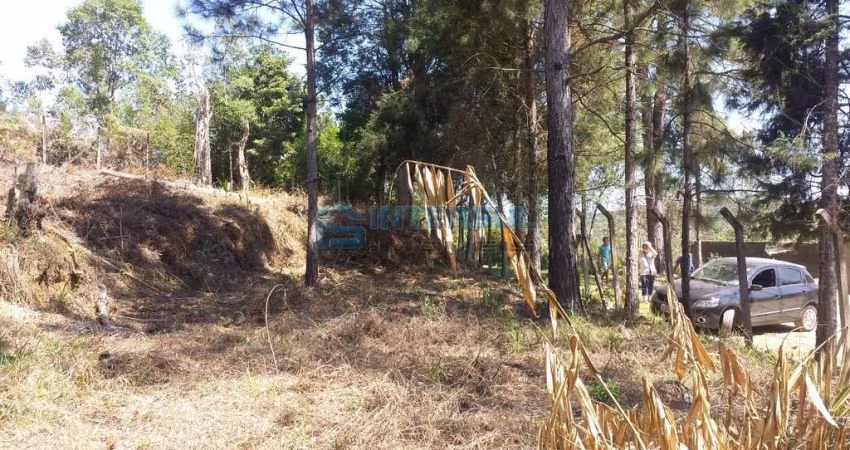 Terreno em Chácara Bosque do Sul - São Paulo, SP