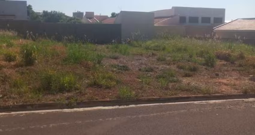 Terreno à venda em Birigüi-SP, Parque das Árvores - 250m² de área!