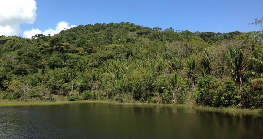 FAZENDA VALE DO CERQUEIRA