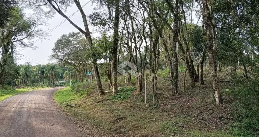 Terreno com 813m² em Nova Petrópolis