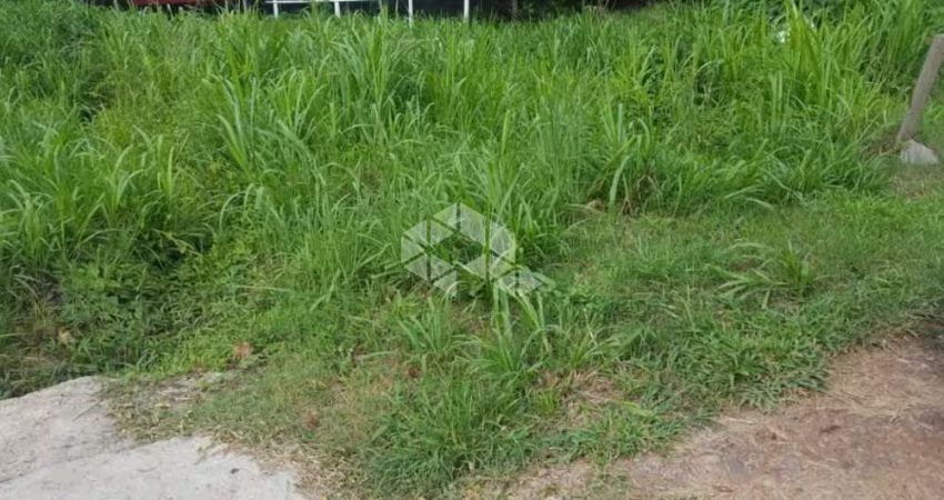 Terreno com 1.175,59 m² de frente para a BR 116