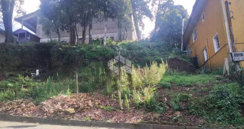 Terreno localizado no centro de Nova Petrópolis, Serra gaúcha.