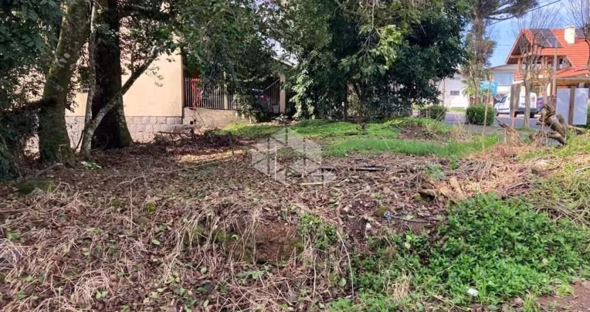 Terreno central