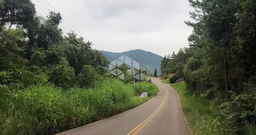 Ótima chácara em Nova Petrópolis!