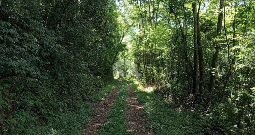Chácara de 2,4 ha para venda por R$ 250.000