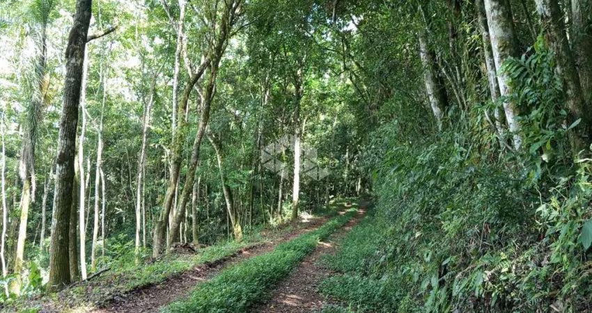 Chácara de 3,6 ha para venda por R$ 220.000