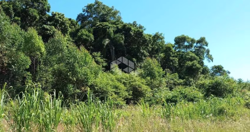 Excelente Chácara na Serra Gaúcha