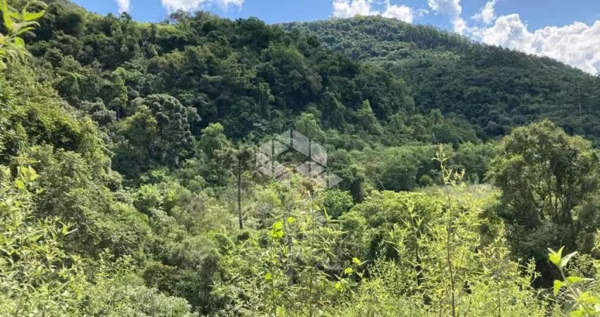 Chácara com vista e Riacho