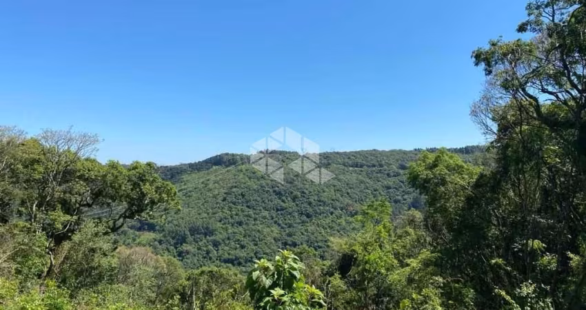 Chácara plana com vista na Serra Gaúcha