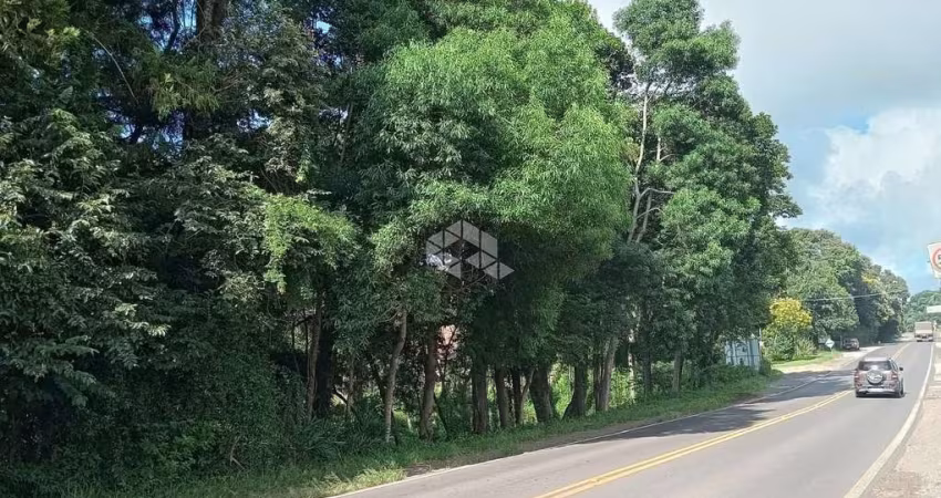 Excelente área para construir o seu negócio